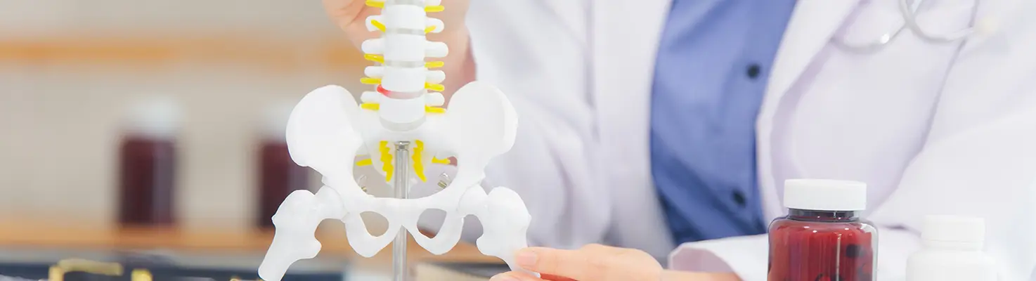 Doctor explaining hip anatomy using a spine and pelvis model during hip replacement consultation